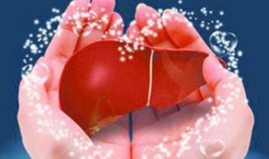 隐性传染 遗传性乙肝会传染吗