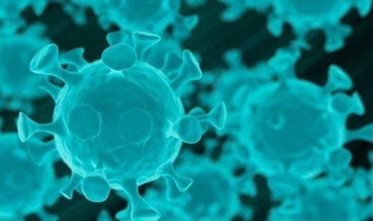 黑龙江最新病毒 最近新出的病毒