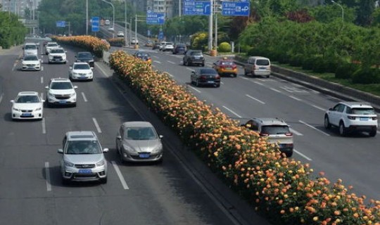 2021北京市汽车尾号限行时间 北京小客车尾号限行规定