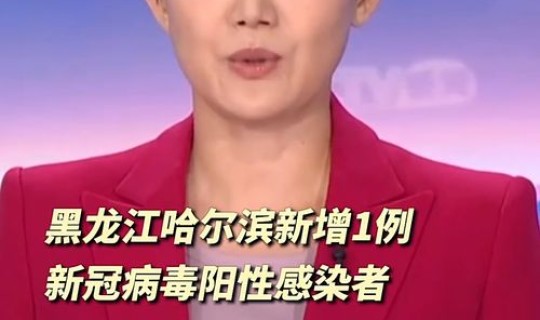 黑龙江省最新病情(哈尔滨最新病毒)