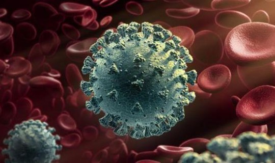 英国出现新冠病毒新变种，埃博拉病毒是新冠吗