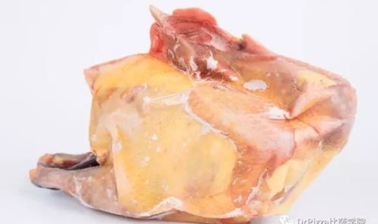 国产冷冻鸡翅有新冠病毒吗(冻鸡翅怎么快速解冻)