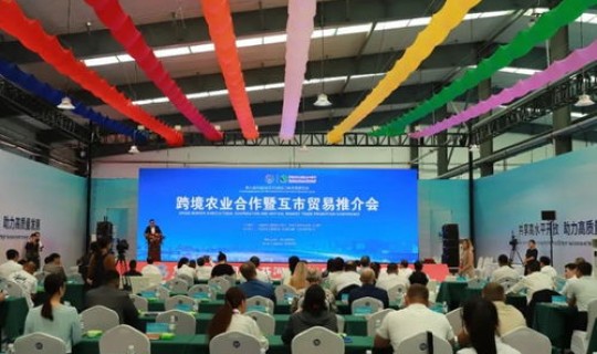 黑龙江绥芬河政府网(绥芬河市委)