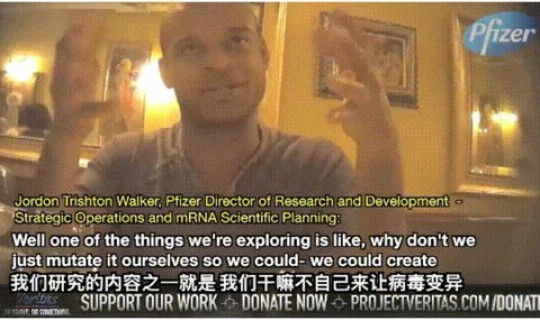 电脑病毒新冠病毒，新冠是什么病毒