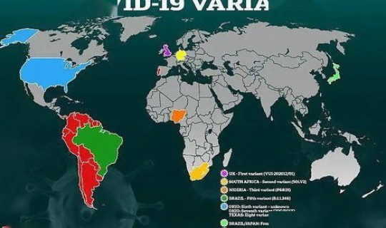通化疫情最新数据(新疫情) 通化疫情最新数据(新疫情)