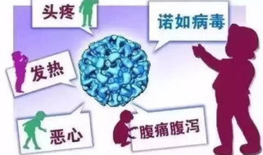 河南疫情病毒类型 诺如病毒