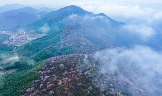 葛仙山哪里(葛仙山和望仙谷哪个好玩)