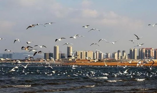 烟台到大连坐轮船多长时间，烟台到大连的距离