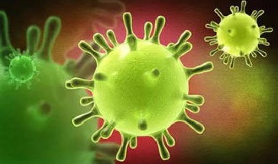 新型冠状病毒发现第一例？新冠病毒第一例来自哪里