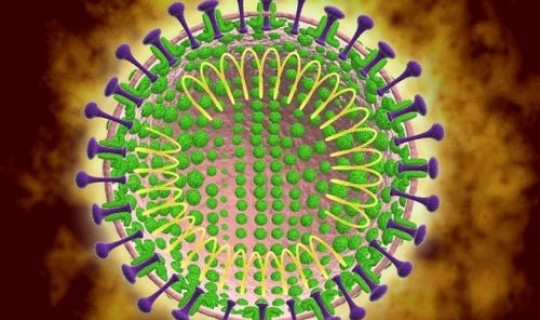 2019新型冠状病毒开始时间？新型冠状病毒来源