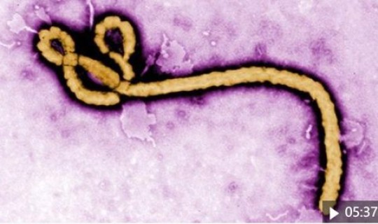 成都的病毒严重吗?成都人容易得什么病 成都的病毒严重吗?成都人容易得什么病