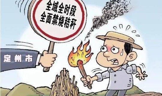 百色最新防疫政策(村级防疫员最新政策)