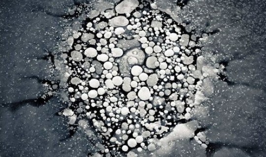 明年还有病毒爆发吗 ？最近都是什么病毒在大爆发