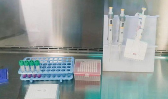 上海市区核酸检测最新要求 浦东机场核酸检测