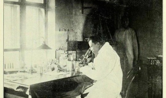 鼠疫时期死了多少人(鼠疫是什么时候开始的)