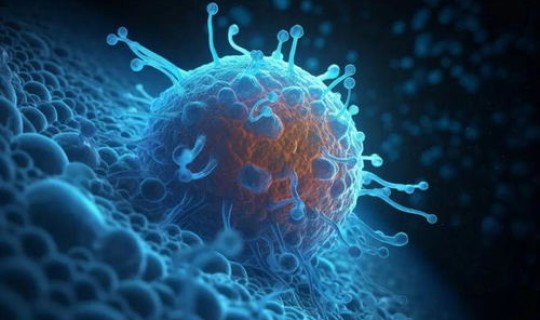 贵阳现在病毒情况，腺病毒