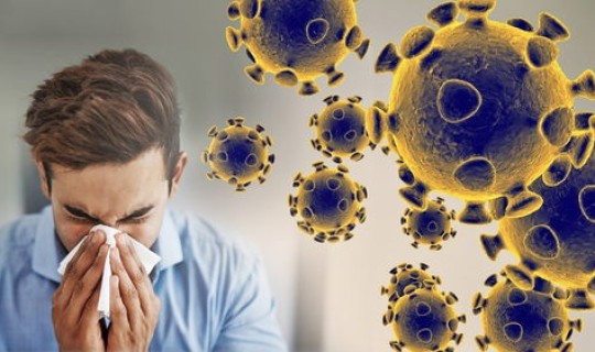 茂名出现新型病毒了吗(现在有没有新冠病毒)