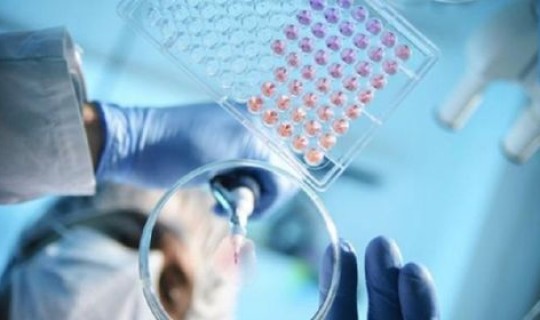 长沙发现1例核酸阳性人员 核酸检测阳性是什么意思