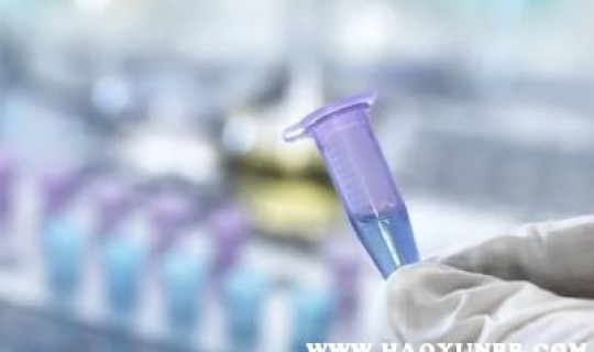 上海核酸检测是全天的吗，上海核酸24小时检测