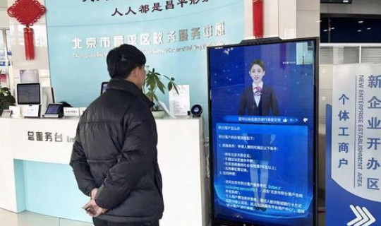 北京市政府咨询平台(北京市政府在哪个区)