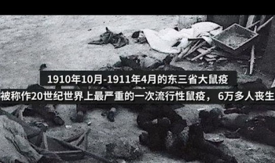 鼠疫病死率高吗 鼠疫还会爆发吗