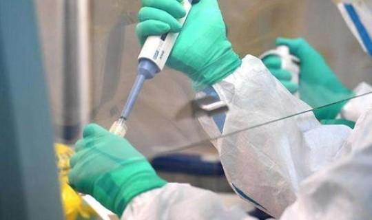 山东发现一例新冠病毒是真的吗	，现在有新冠病毒吗最新消息新闻