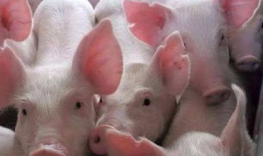 天津现在是疫区吗？天津现在还有疫情吗