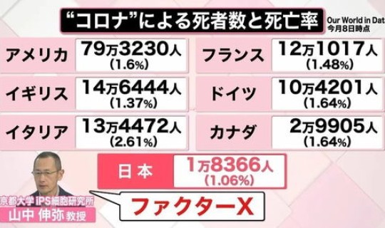 日本 新冠 死亡率 新冠病毒的死亡率