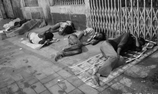 鼠疫一共死了多少人，鼠疫是日本人留下的吗