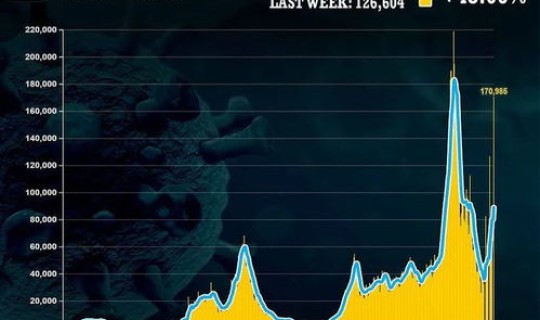 目前全球无疫情国家(全球性疫情)