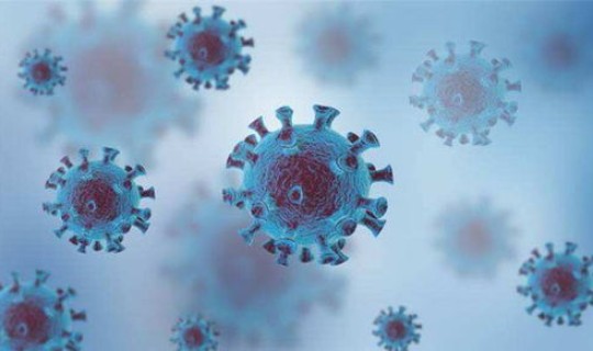 青岛又出现新冠肺炎，青岛有新冠疫情吗