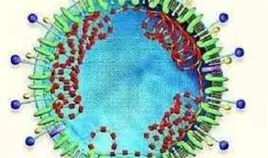 新型冠状病毒无症状感染会传染吗，冠状病毒是什么引起的
