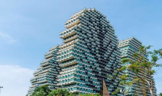 海南三亚新冠病毒最新情况(三亚大树之冠)