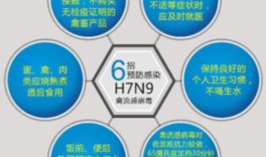 青岛疫情起止时间？禽流感疫情