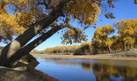 黑河出现，黑河的发源地