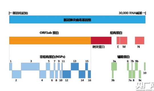 目前还有哪几个国家没有新冠病毒，世界唯一没有新冠病毒的国家