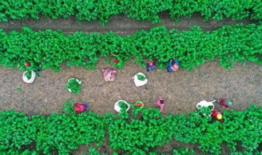 睢宁疫情发布？2021徐州睢宁疫情最新消息