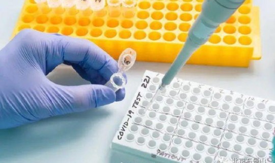 10人混检核酸阳性?核酸阳性 10人混检核酸阳性?核酸阳性