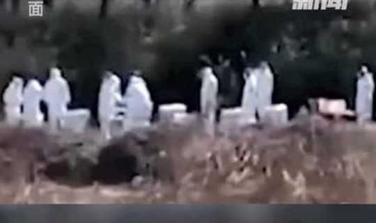 河南哪里又出现一例(河南感染一例)