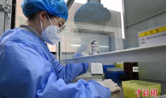 石家庄检测人员确诊?石家庄省二院确诊新型肺炎 石家庄检测人员确诊?石家庄省二院确诊新型肺炎