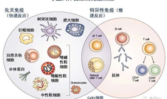 许昌新冠病毒最新情况?冠型病毒症状 许昌新冠病毒最新情况?冠型病毒症状