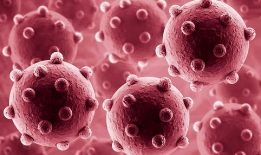 病毒传染有多快 病毒和细菌哪个好得快