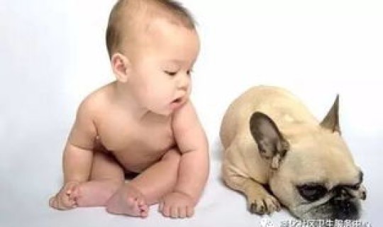 未接种疫苗人员能去沈阳吗 狗咬去多少时间接种疫苗