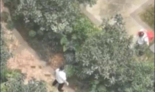 男子30楼坠亡 什么原因让广西男子不惧危险爬出十几层楼房窗外坠亡