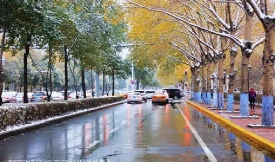 哈尔滨现在进出需要隔离吗？去哈尔滨需要隔离吗