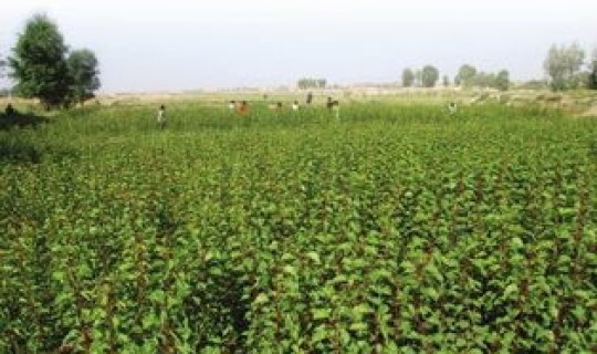 兰州新区动态(兰州新区人民政府)