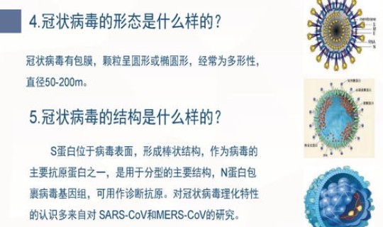 花都区新冠肺炎情况通报最新？新冠状肺炎的早期症状