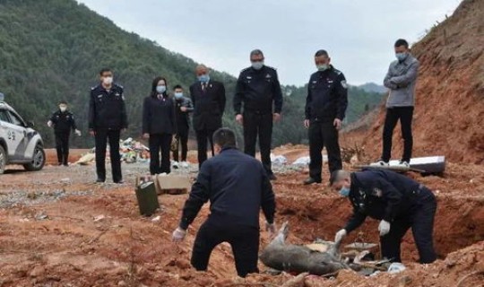 福建安溪最新疫情	，福建最新疫情公布