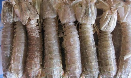 进口冻鸡翅样品呈阳性，冻鸡翅可以放多久