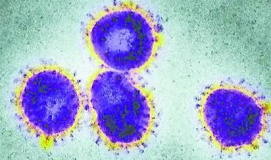 蒙古冠状病毒肺炎最新消息？中国新冠肺炎最新消息